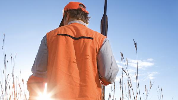 Back of a hunter in blaze orange holding a shotgun with the sun in the background